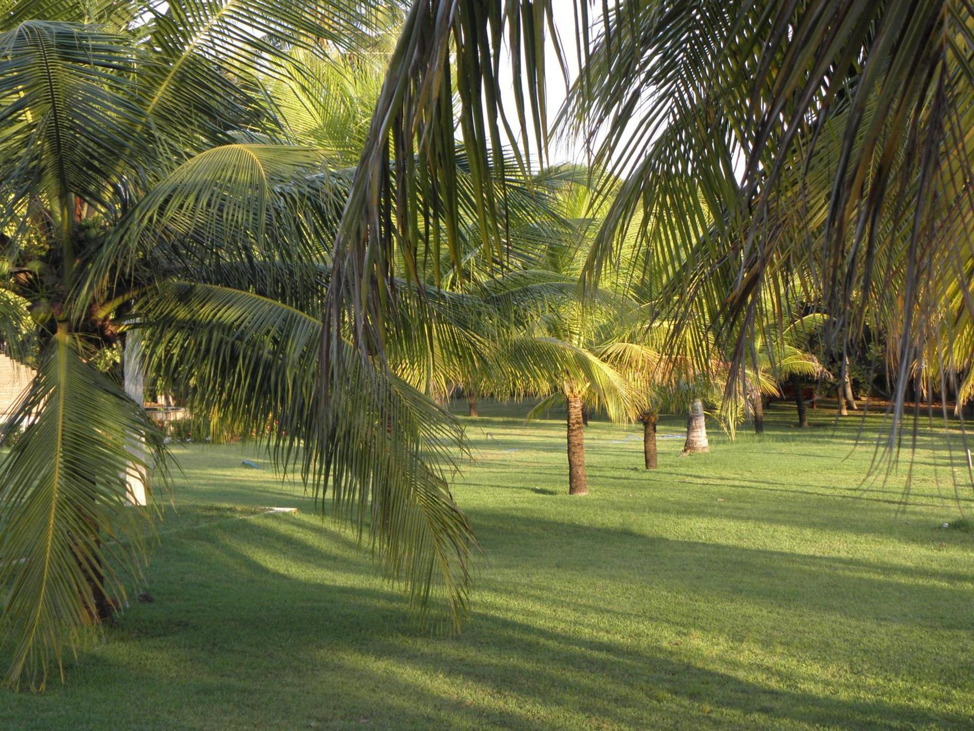 Hotel Praia Dourada Maragogi Bagian luar foto